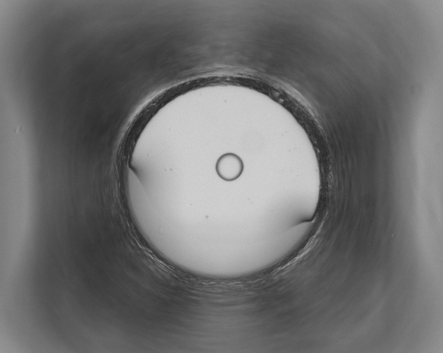 X0000112181310200909181425