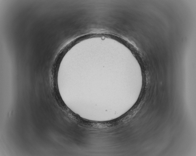 X0000112181311200909181425