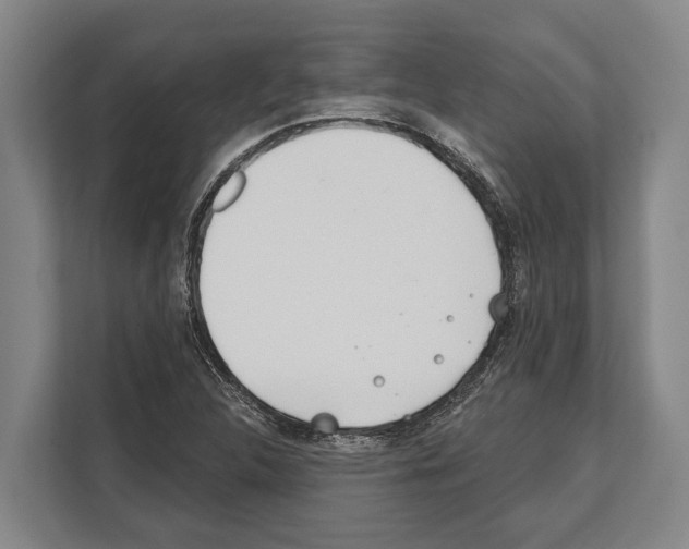 X0000112181312200909181425