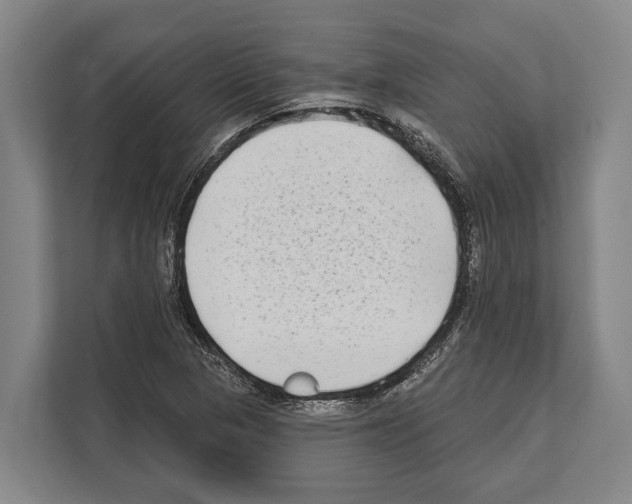 X0000112181313200909181425