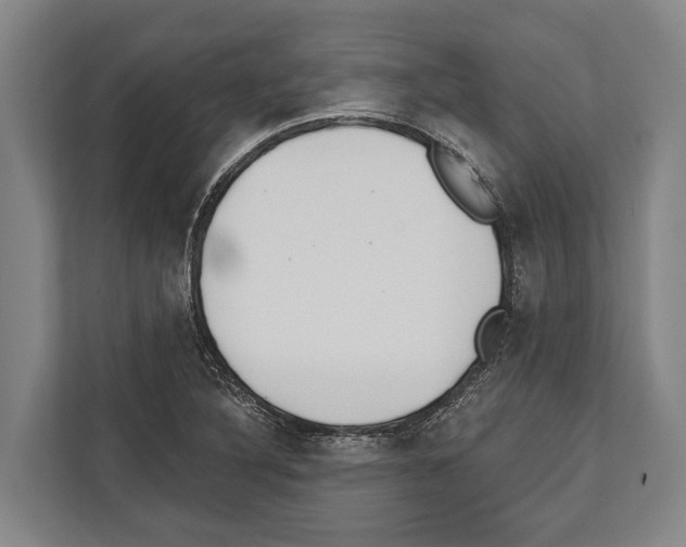 X0000112181316200909181425