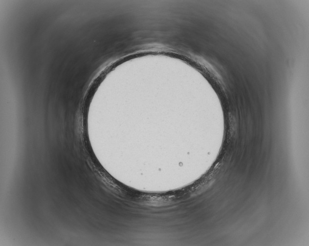 X0000112181318200909181425