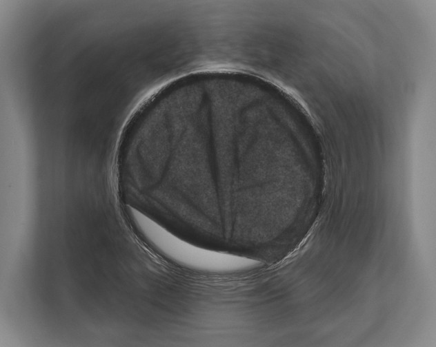 X0000112181319200909181425