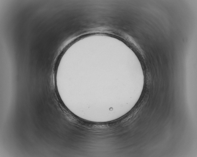 X0000112181320200909181425