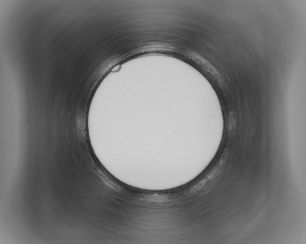 X0000112181321200909181425