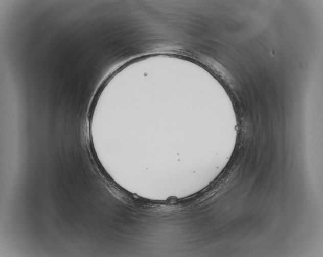 X0000112181324200909181425