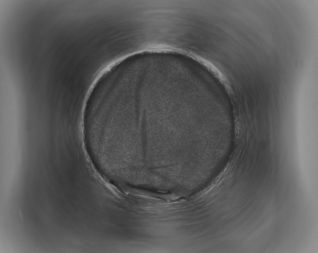 X0000112181327200909181425