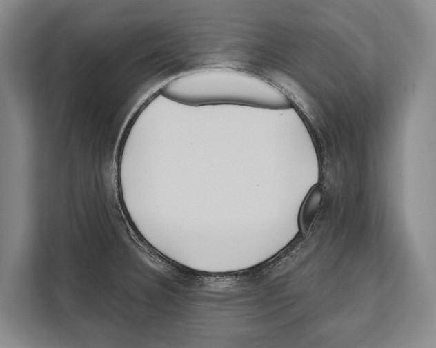 X0000112181332200909181426