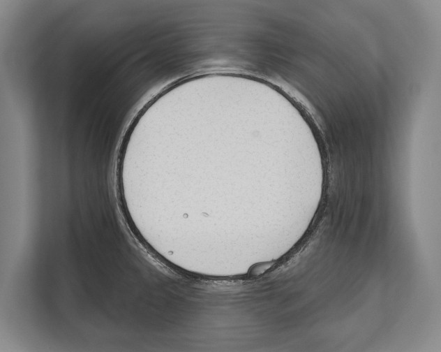 X0000112181333200909181426