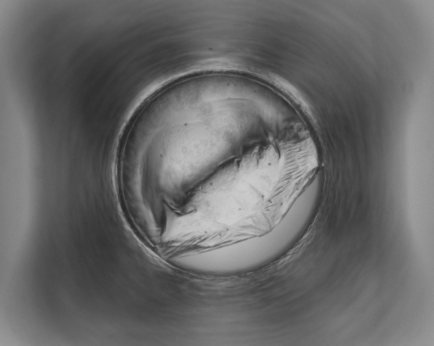 X0000112181334200909181426