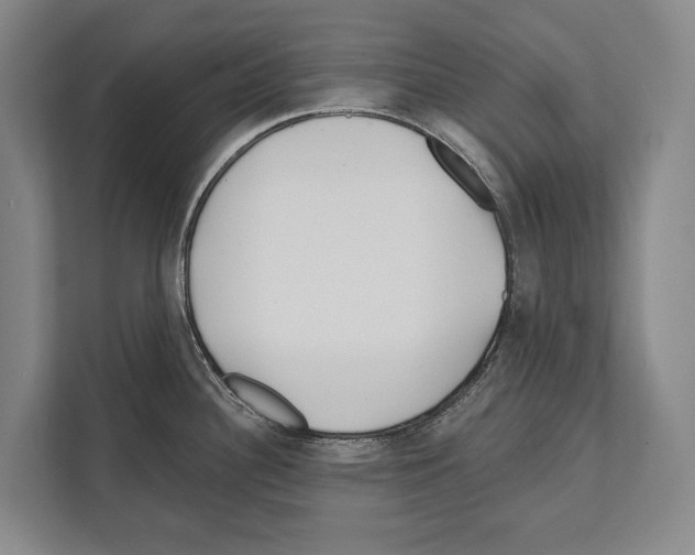 X0000112181340200909181426