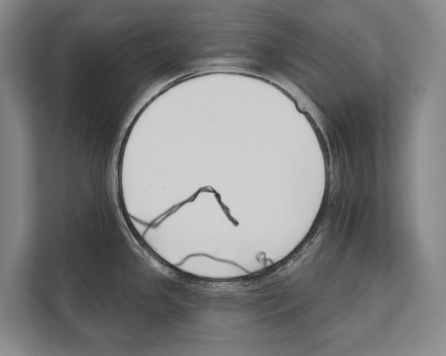 X0000112181341200909181426