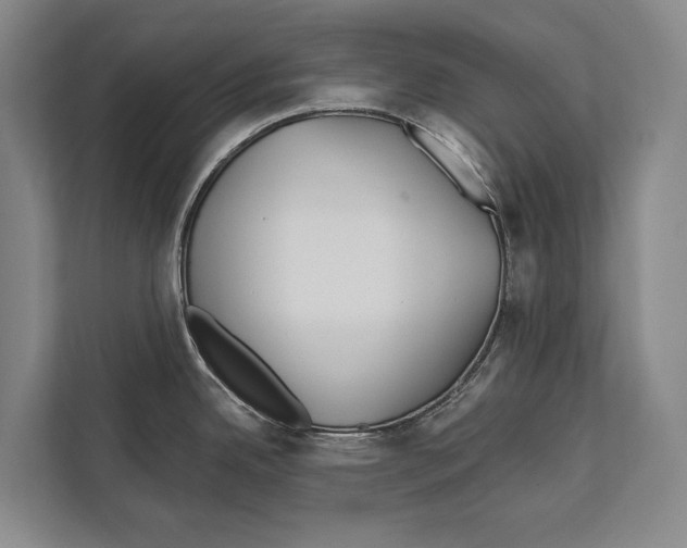 X0000112181342200909181426