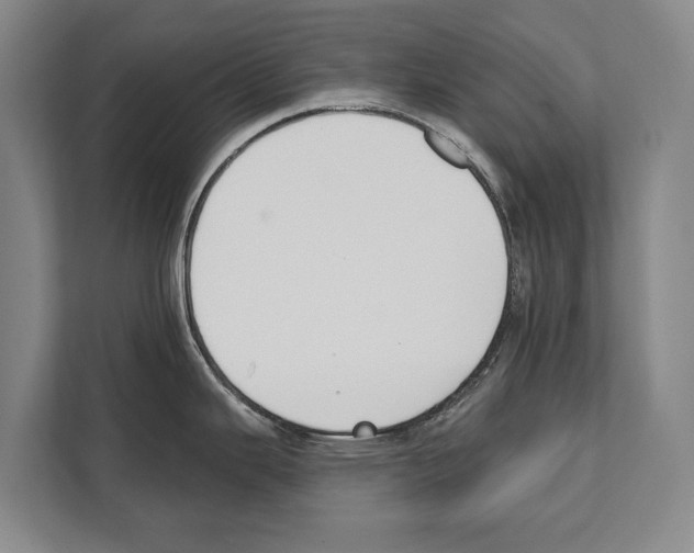 X0000112181343200909181426