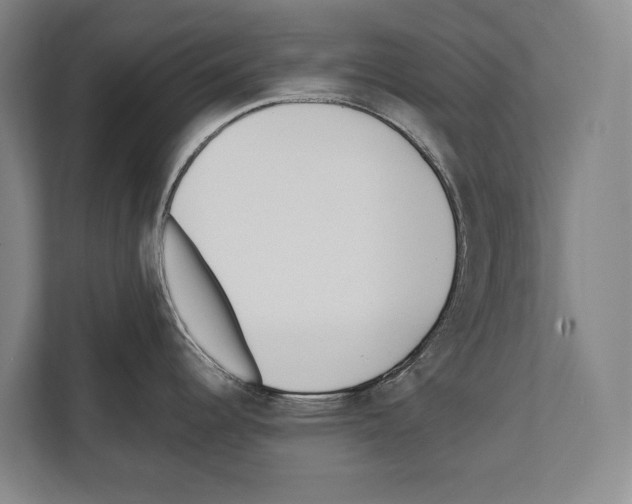 X0000112181344200909181426