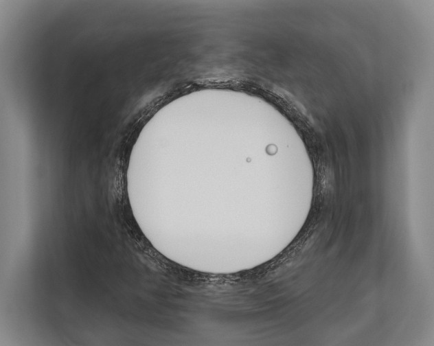 X0000112181350200909181425