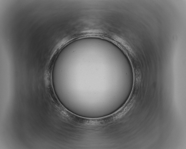 X0000112181357200909181425