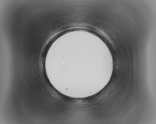 X0000112181360200909181425