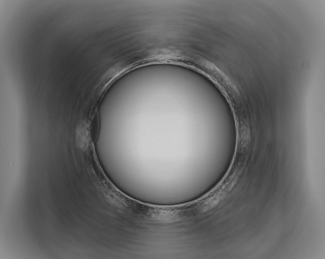 X0000112181361200909181425