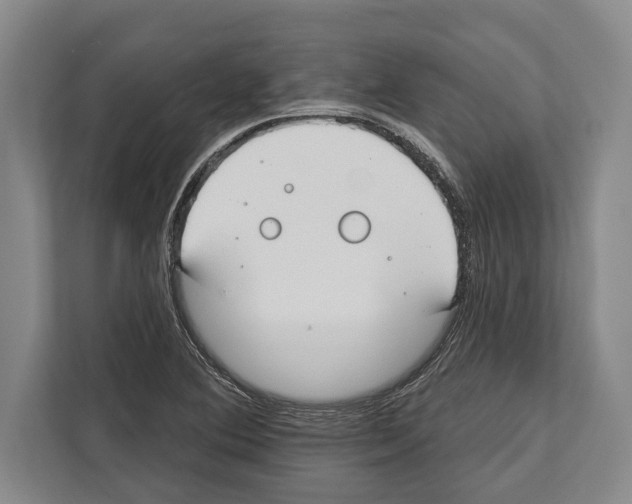 X0000112181364200909181425