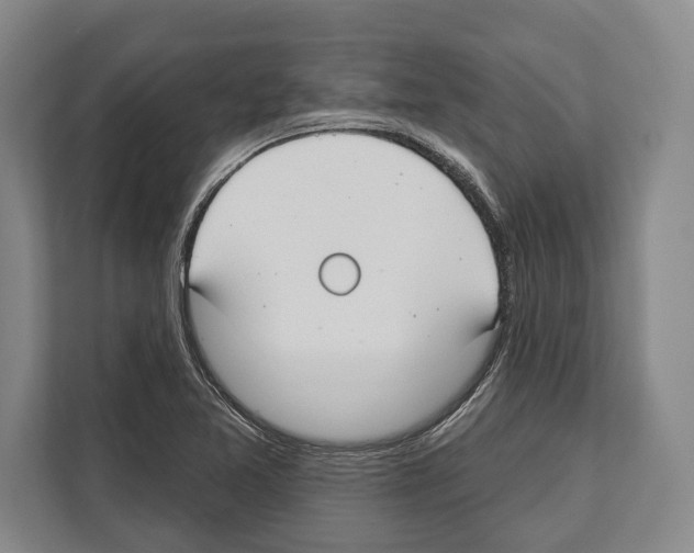 X0000112181365200909181425