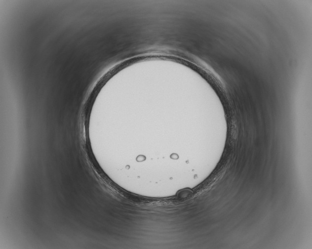 X0000112181368200909181425