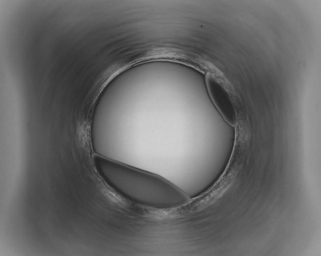X0000112181369200909181425