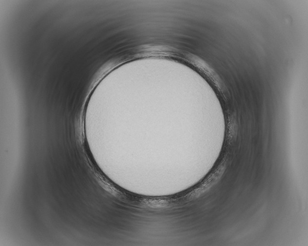 X0000112181370200909181425