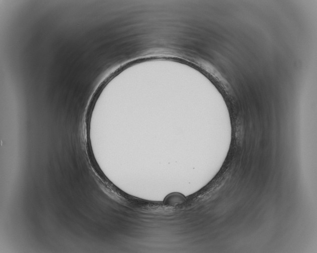 X0000112181372200909181425
