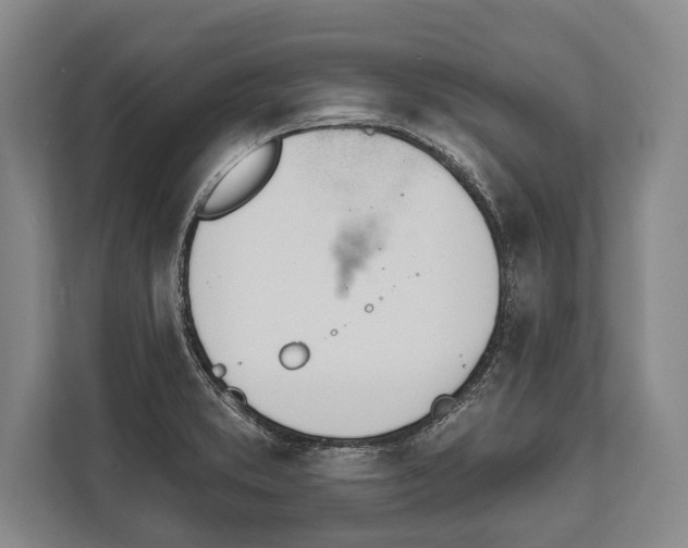X0000112181373200909181425