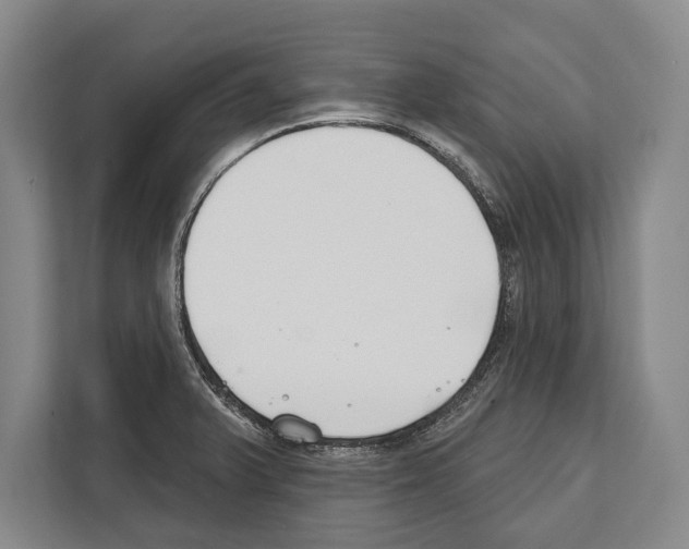X0000112181375200909181425