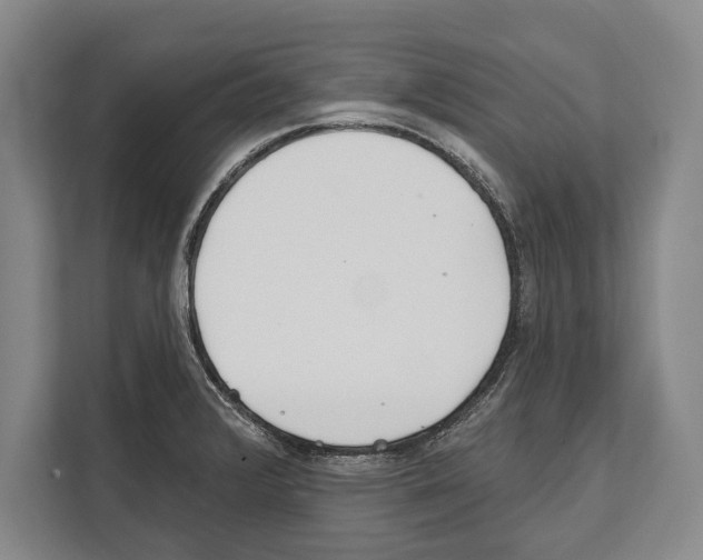 X0000112181376200909181425