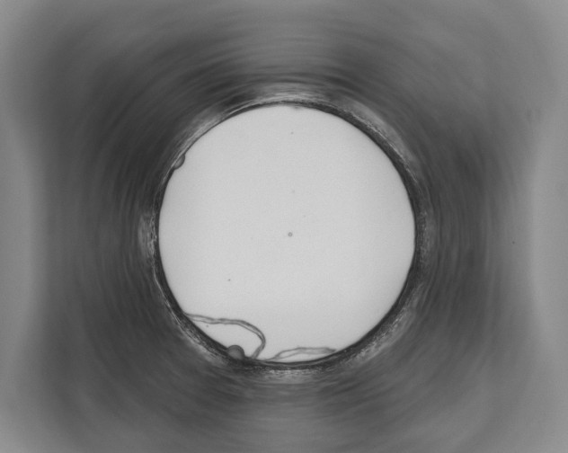 X0000112181377200909181425