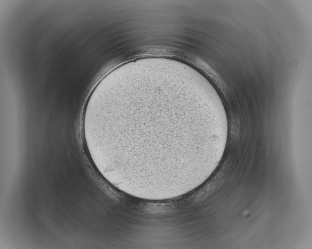 X0000112181378200909181425