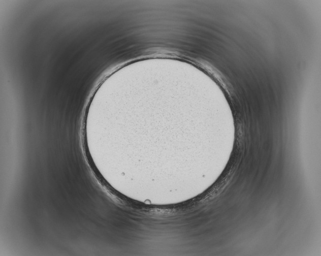X0000112181379200909181425
