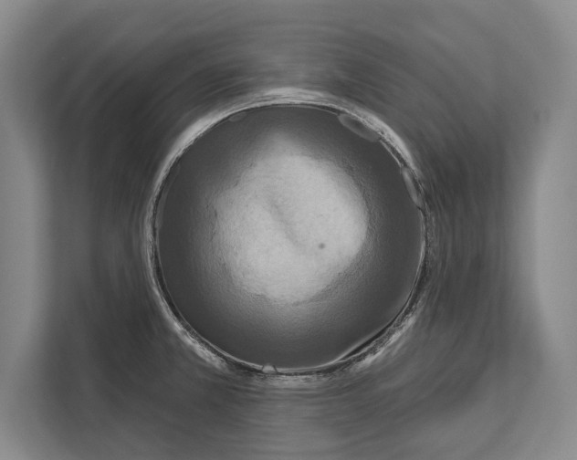X0000112181381200909181425