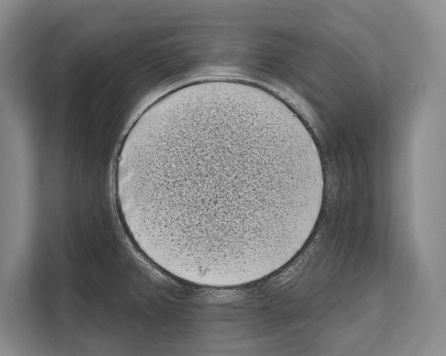 X0000112181382200909181425