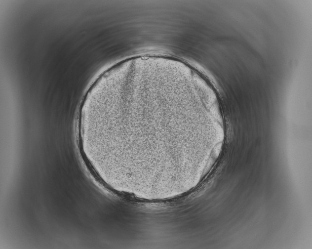 X0000112181383200909181425