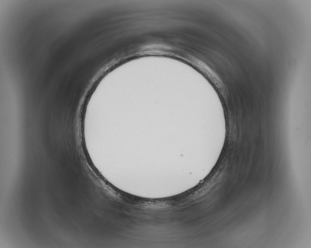 X0000112181384200909181425