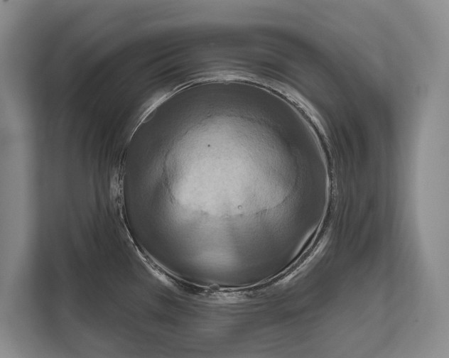 X0000112181385200909181425