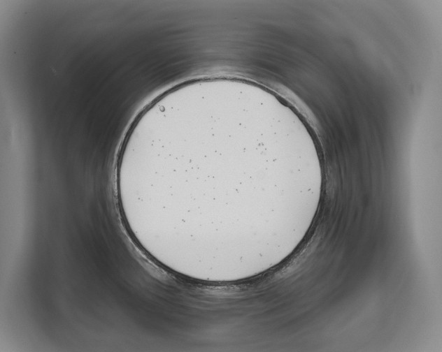X0000112181388200909181425