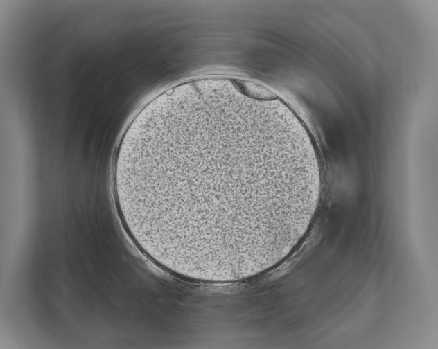 X0000112181390200909181425