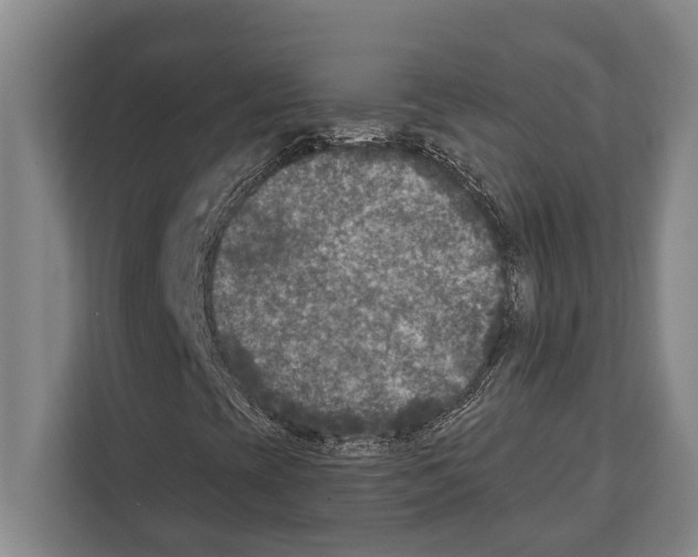 X0000112181393200909181424