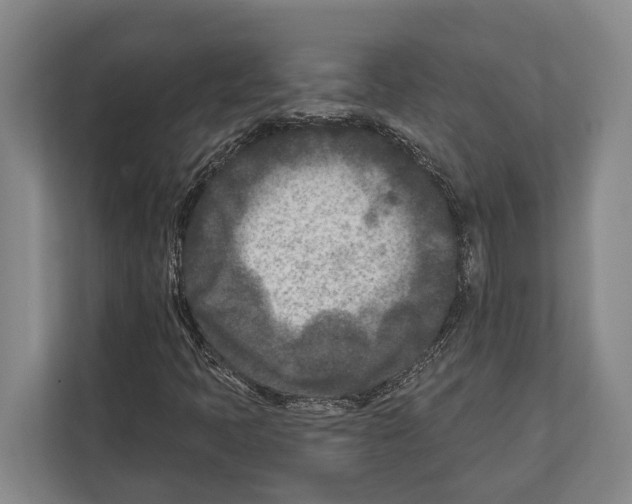 X0000112181397200909181424