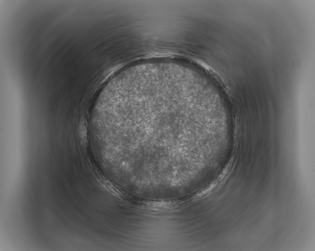 X0000112181401200909181424