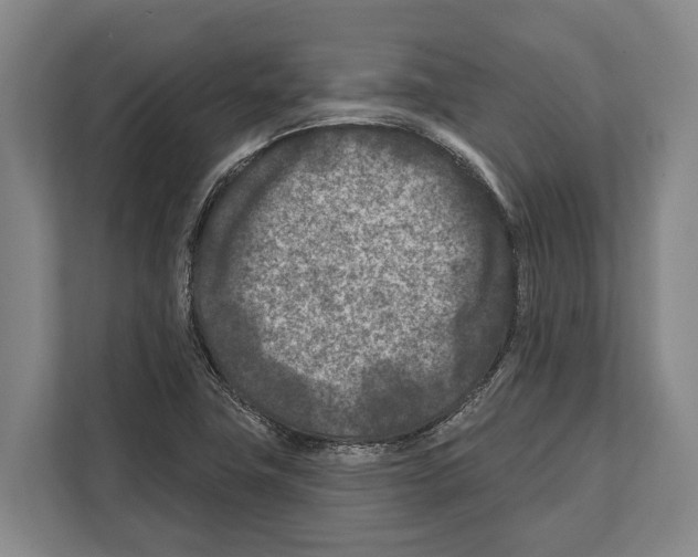 X0000112181411200909181424
