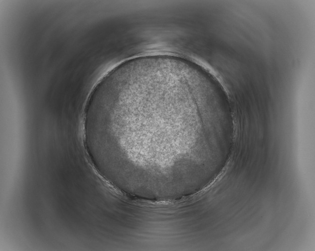 X0000112181415200909181424