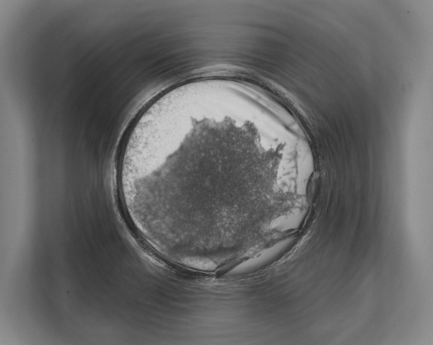 X0000112181418200909181424
