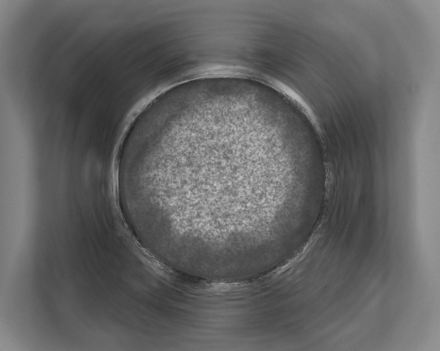 X0000112181419200909181424