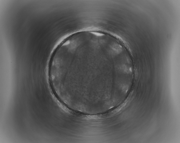 X0000112181422200909181424
